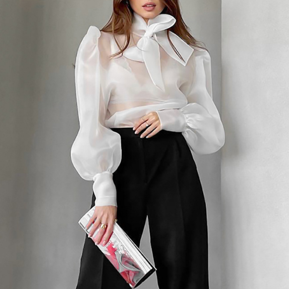 Mesh Sheer Puff Sleeve Bow Top