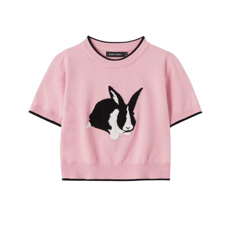 Sweet and Cute Rabbit Pattern Knitted T-shirt